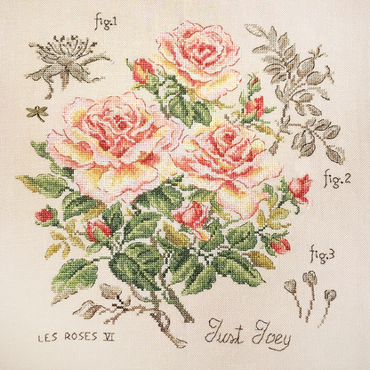 Just Joey Rose Study Half-Kit
