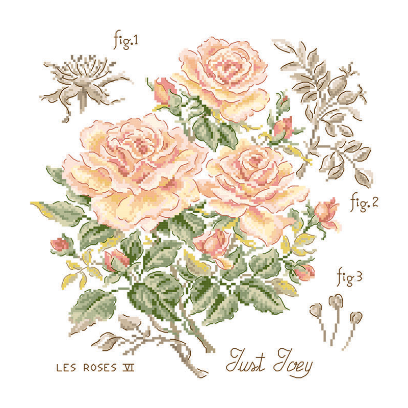 Just Joey Rose Study Half-Kit