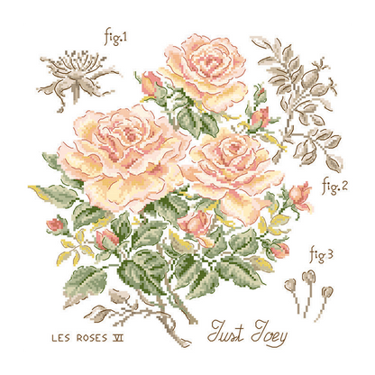 Just Joey Rose Study Half-Kit