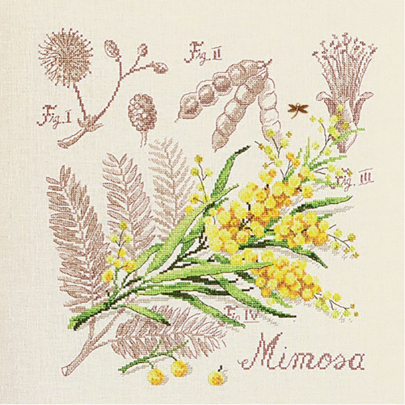 Mimosa Study Half-Kit