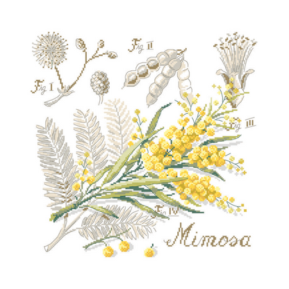 Mimosa Study Half-Kit