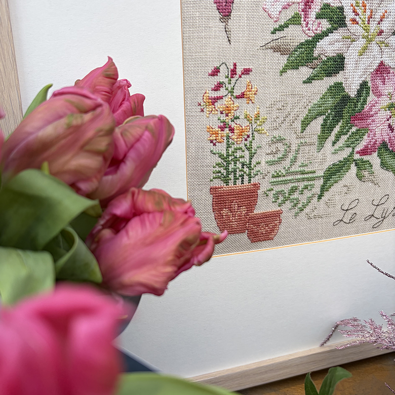 Lily Study Half-Kit