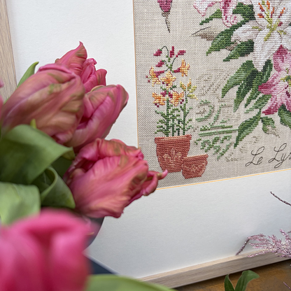 Lily Study Half-Kit