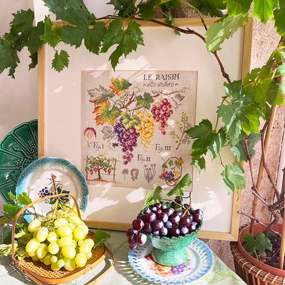 Grapes Study Half-Kit