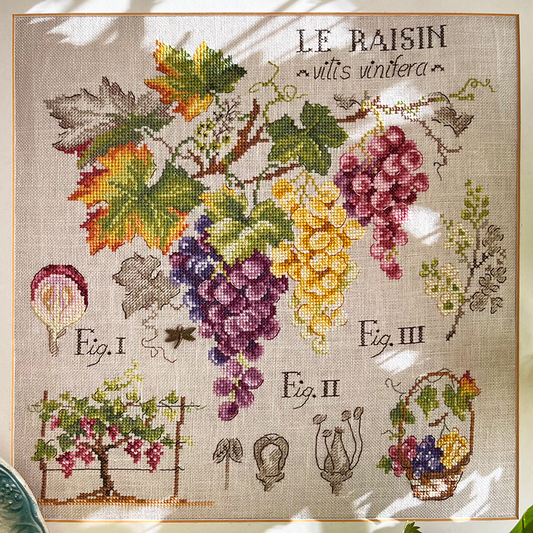 Grapes Study Half-Kit