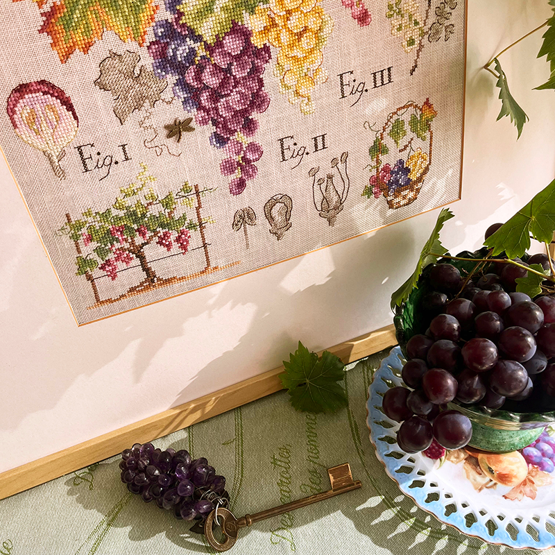 Grapes Study Half-Kit