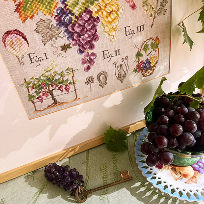 Grapes Study Half-Kit