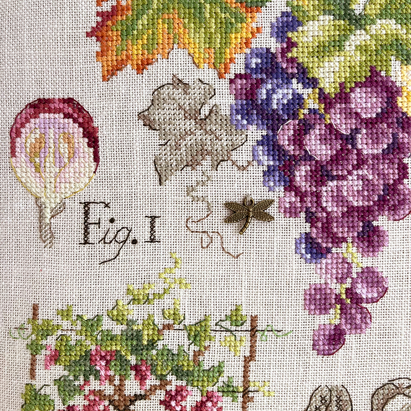 Grapes Study Half-Kit