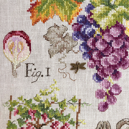Grapes Study Half-Kit