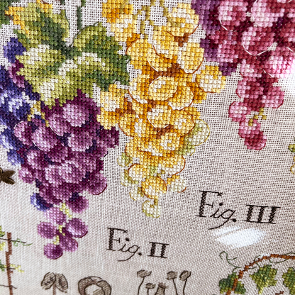 Grapes Study Half-Kit