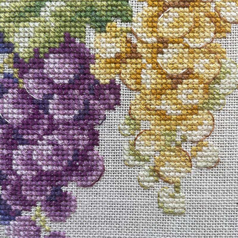 Grapes Study Half-Kit