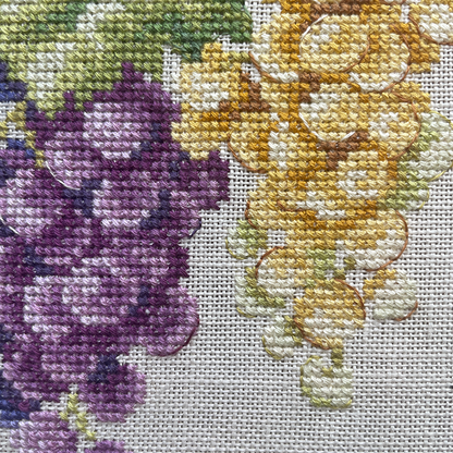 Grapes Study Half-Kit