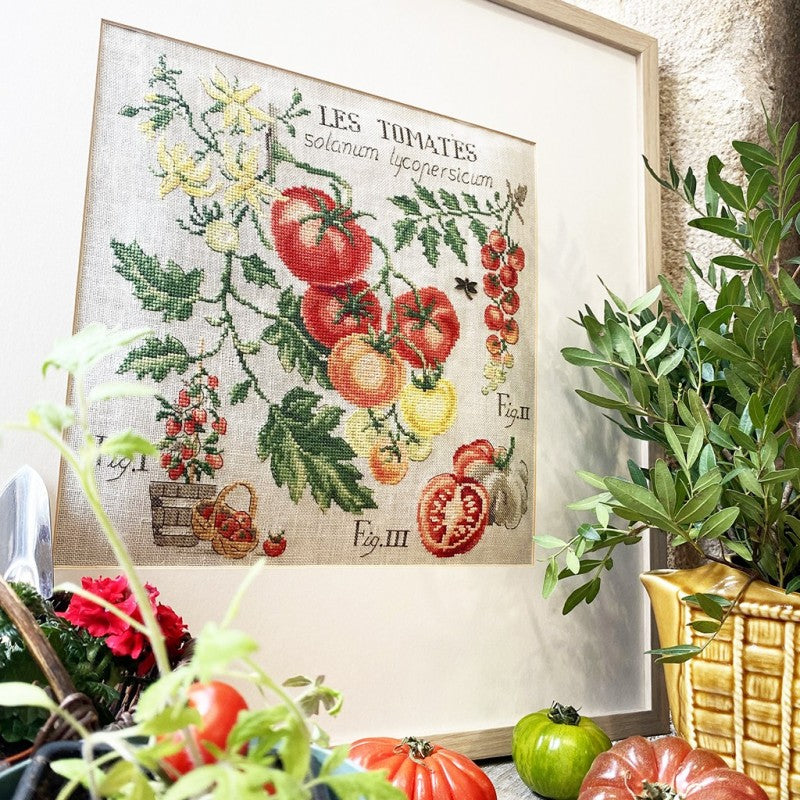 Tomato Study Half-Kit