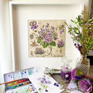 Violet Study Half-Kit