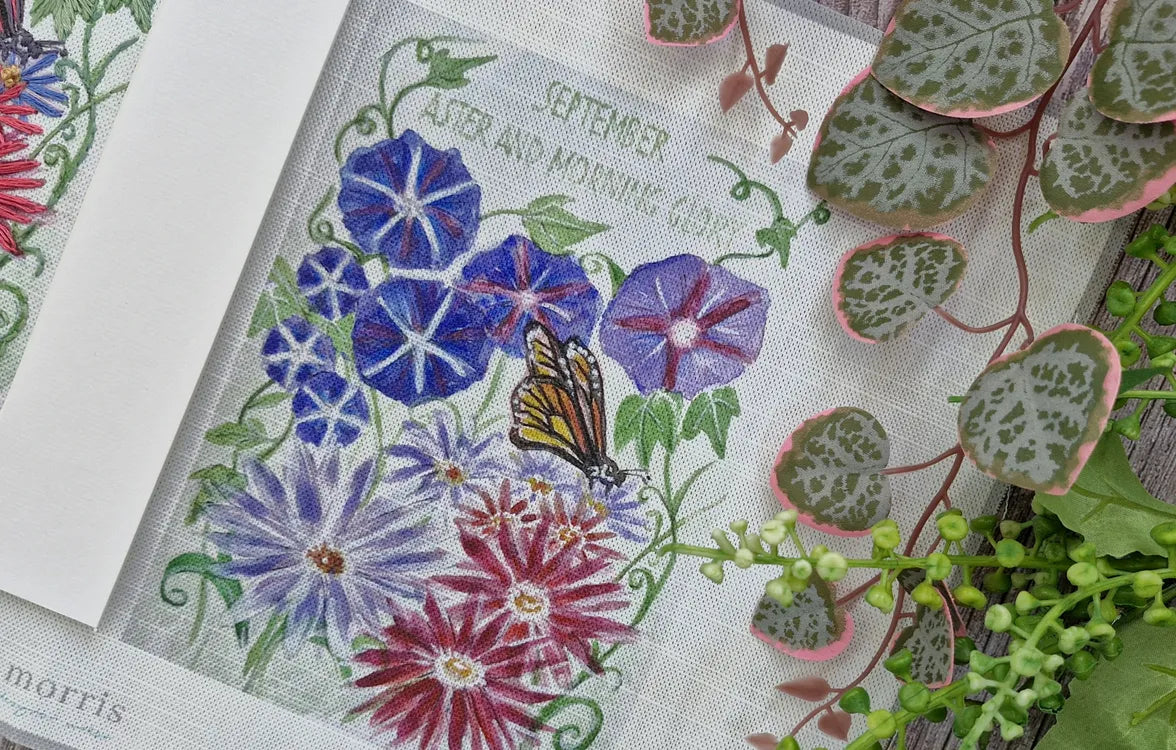 September - Aster and Morning Glory