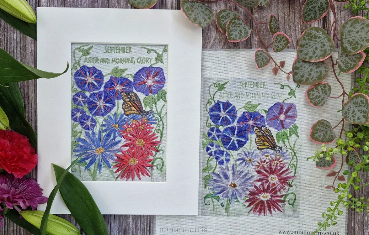 September - Aster and Morning Glory