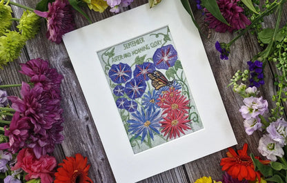 September - Aster and Morning Glory