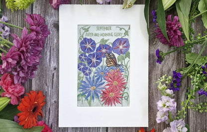 September - Aster and Morning Glory