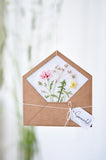 Sommerduft (Summer Scent) Book