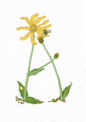 A - Alphabet Botanique by Bénédicte Réveilhac