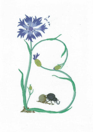 B - Alphabet Botanique by Bénédicte Réveilhac