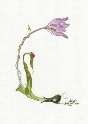 C - Alphabet Botanique by Bénédicte Réveilhac