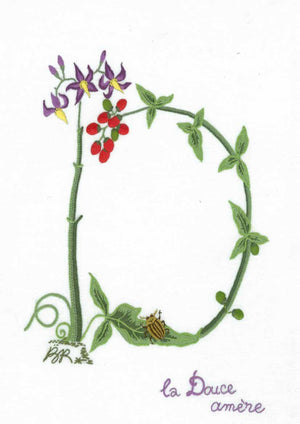 D - Alphabet Botanique by Bénédicte Réveilhac