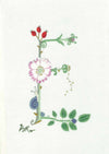 E - Alphabet Botanique by Bénédicte Réveilhac