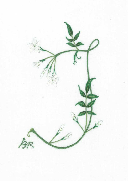 J - Alphabet Botanique by Bénédicte Réveilhac