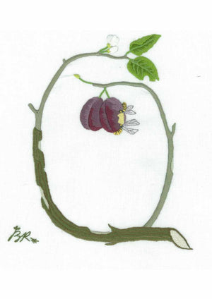 Q - Alphabet Botanique by Bénédicte Réveilhac
