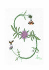S - Alphabet Botanique by Bénédicte Réveilhac