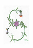 S - Alphabet Botanique by Bénédicte Réveilhac
