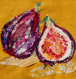 Figs Slow Stitching Kit