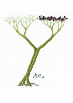 Y - Alphabet Botanique by Bénédicte Réveilhac
