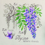 Wisteria Study Half-Kit