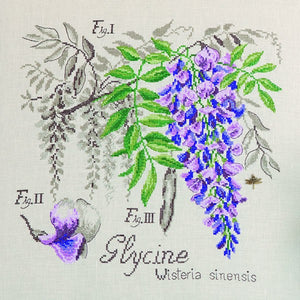 Wisteria Study Half-Kit