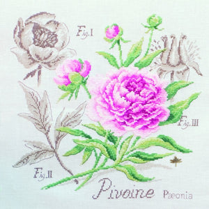Peony Study Half-Kit