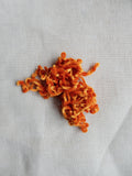 Au Ver a Soie - Silk Satin Chenille 625 (light orange)