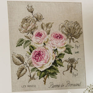 Pierre de Ronsard Rose kit