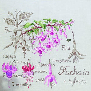 Fuschia Study Half-Kit