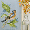 V. Enginger  Finch