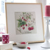 v. enginger - framboise (raspberries)