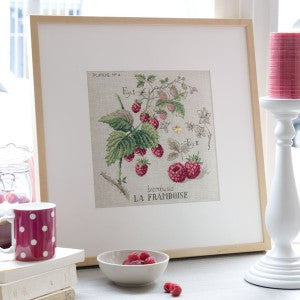 Raspberry Study Half-Kit