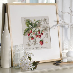 Strawberry Study Half-Kit