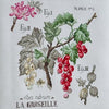 Red Currant Study Half-Kit