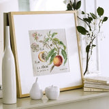 v. enginger - peche (peach)