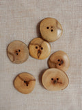 Witness Tree Button - Large