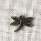 Hellebore Kit (Christmas Rose)