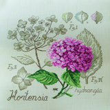 Hydrangea Study Half-Kit