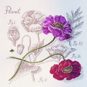 Poppy Study Half-Kit